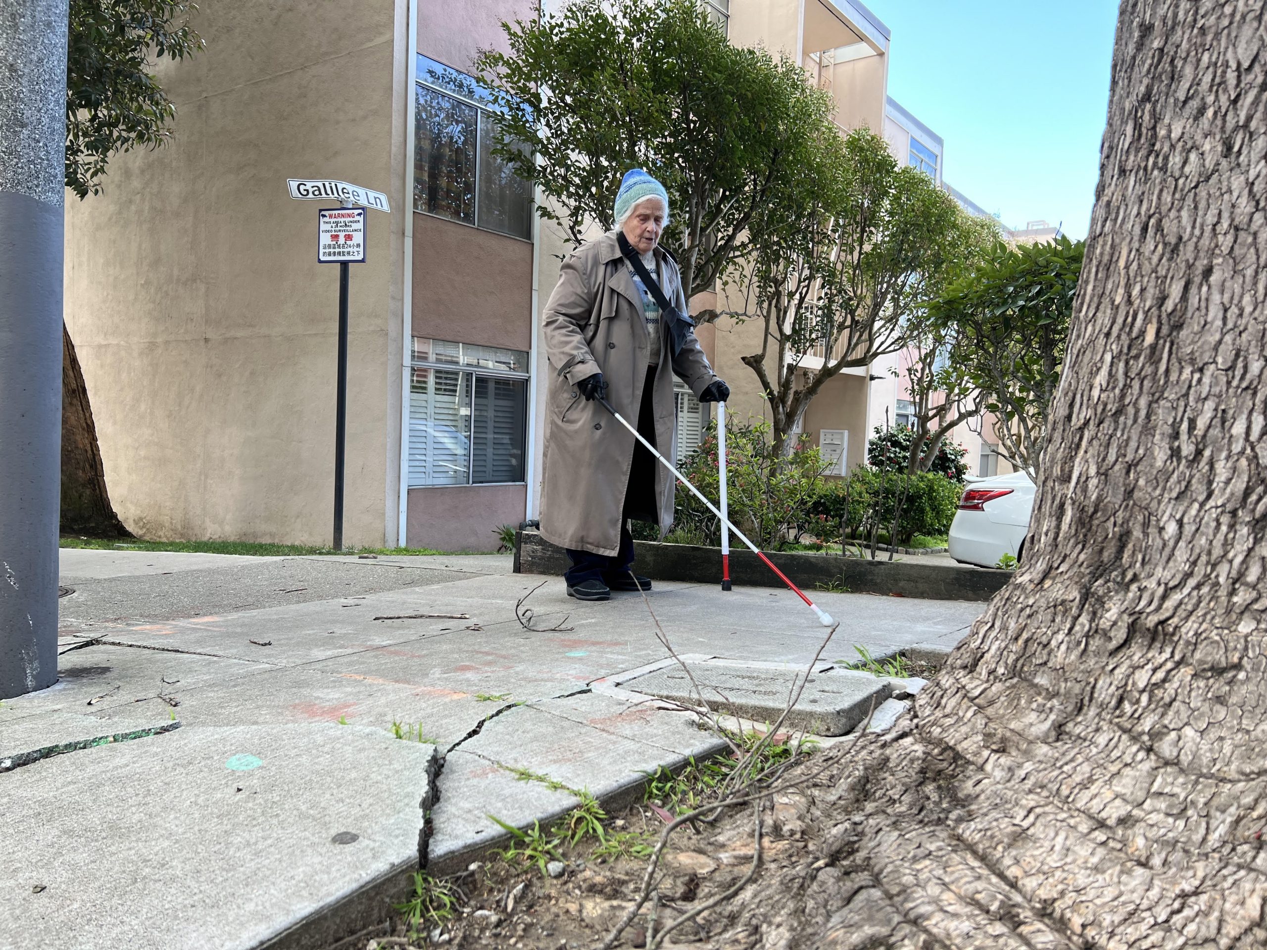 Retired teacher who is legally blind memorizes the streets she travels to avoid "trippers"