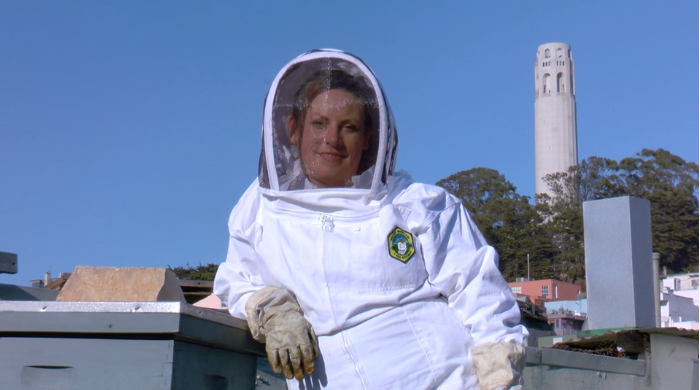 Terry Oxford in her bee-tending gear.