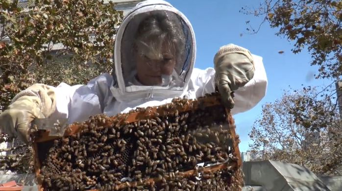 Tending the bees. (Photos courtesy of Terry Oxford)