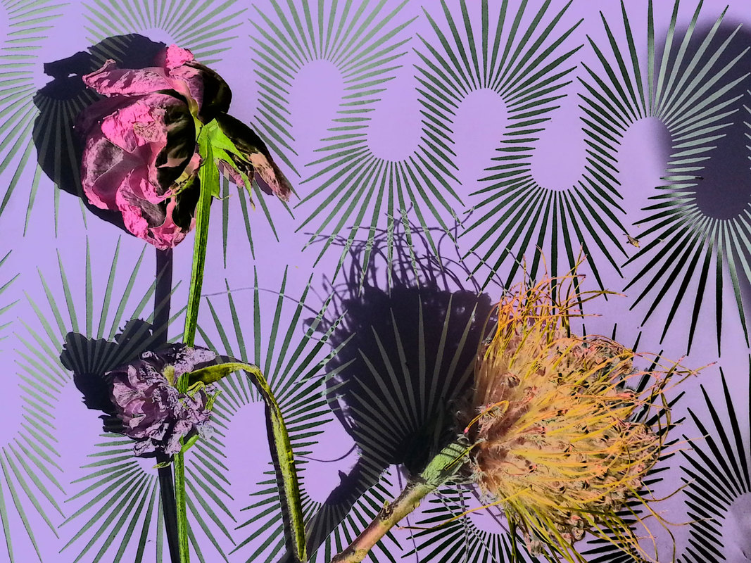 One of a collection of digital images in Pamela Pitt's "Homage to Psychedelic Art."